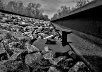 Trains