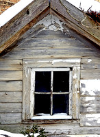 Festival of the Vine_2019